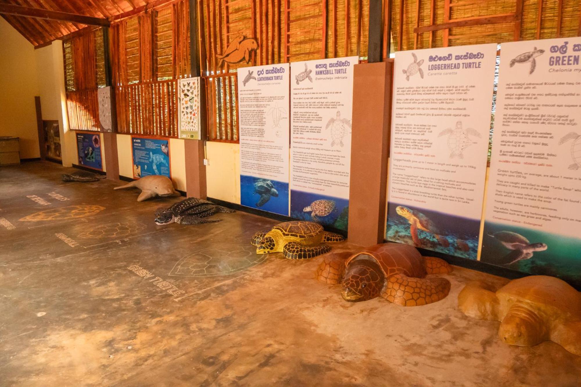 Rekawa Turtle Gate Hotel Тангалле Екстер'єр фото